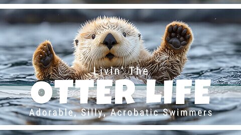 Playful and Clever: Amazing Facts About Otters | Wildlife Wonders