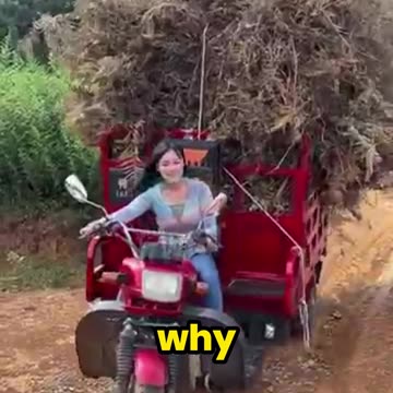 Why Are Women in China Rushing to Drive THIS?