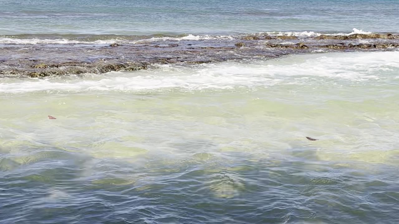 Honokowai Beach Park, Maui