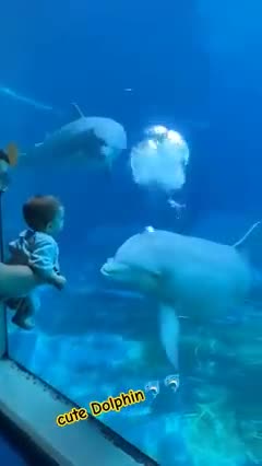 Explore the wonders of the Discover the magic of the underwater world! 🌊🐠! 🌊🐟