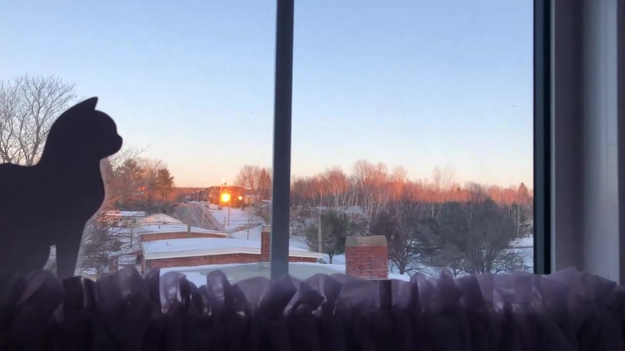 Sunrise Vid (Not Really)