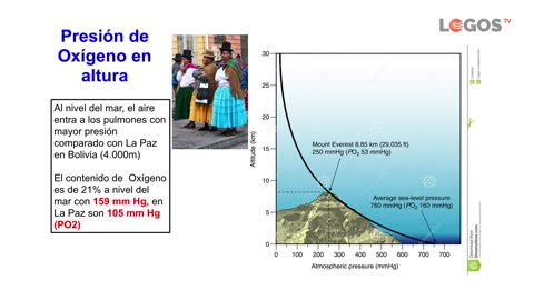 2. Las razas humanas | Evidencias para Creer