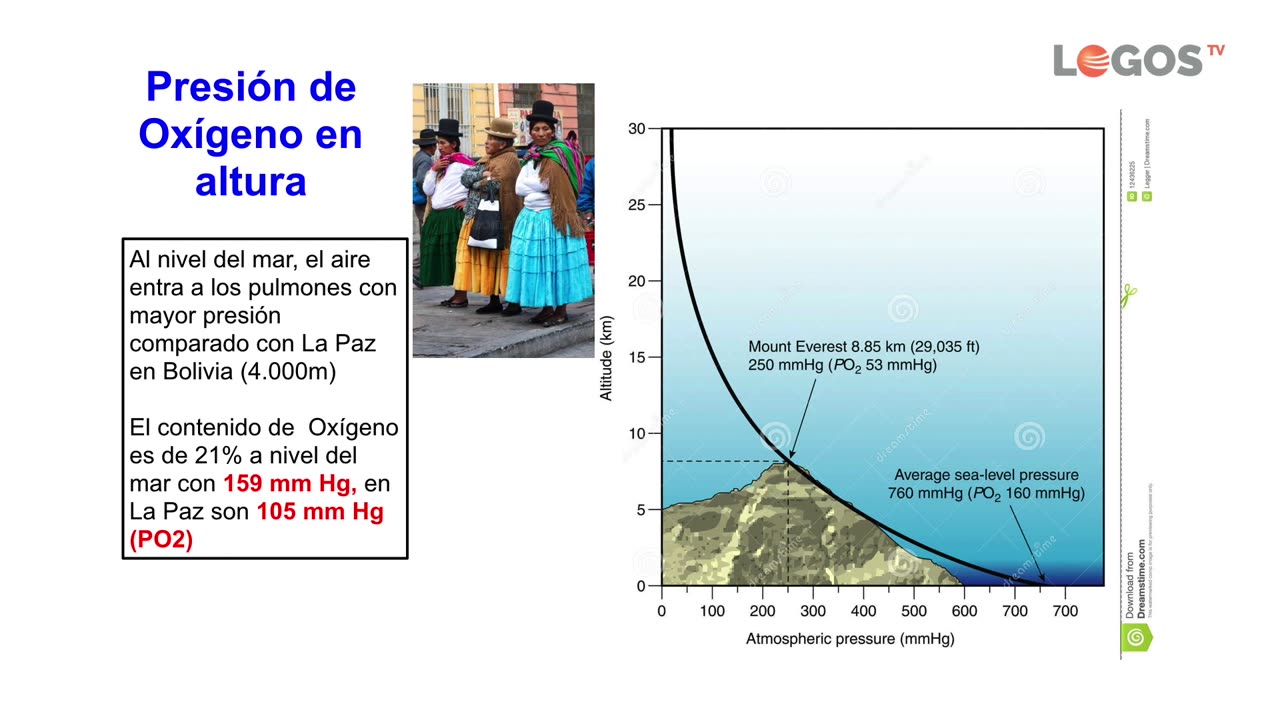 2. Las razas humanas | Evidencias para Creer