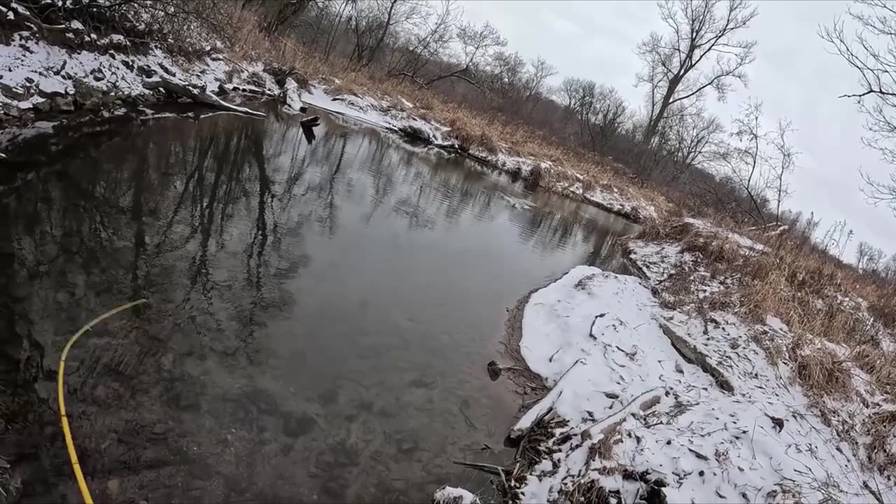 Trout Catching in Slow Motion #shorts