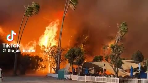 Los Angeles Wildfires