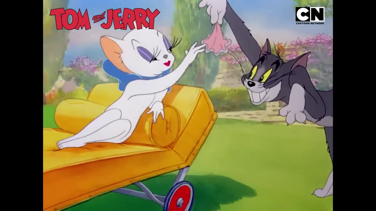 Funny Tom _ Jerry’s Ultimate Valentine’s Day