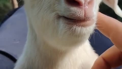 😁
