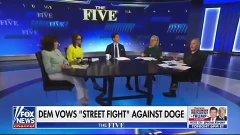 Greg Gutfeld Snaps at Democrats Protesting Against DOGE