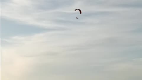 Hang Glider Venice Beach Florida by the doggie beach