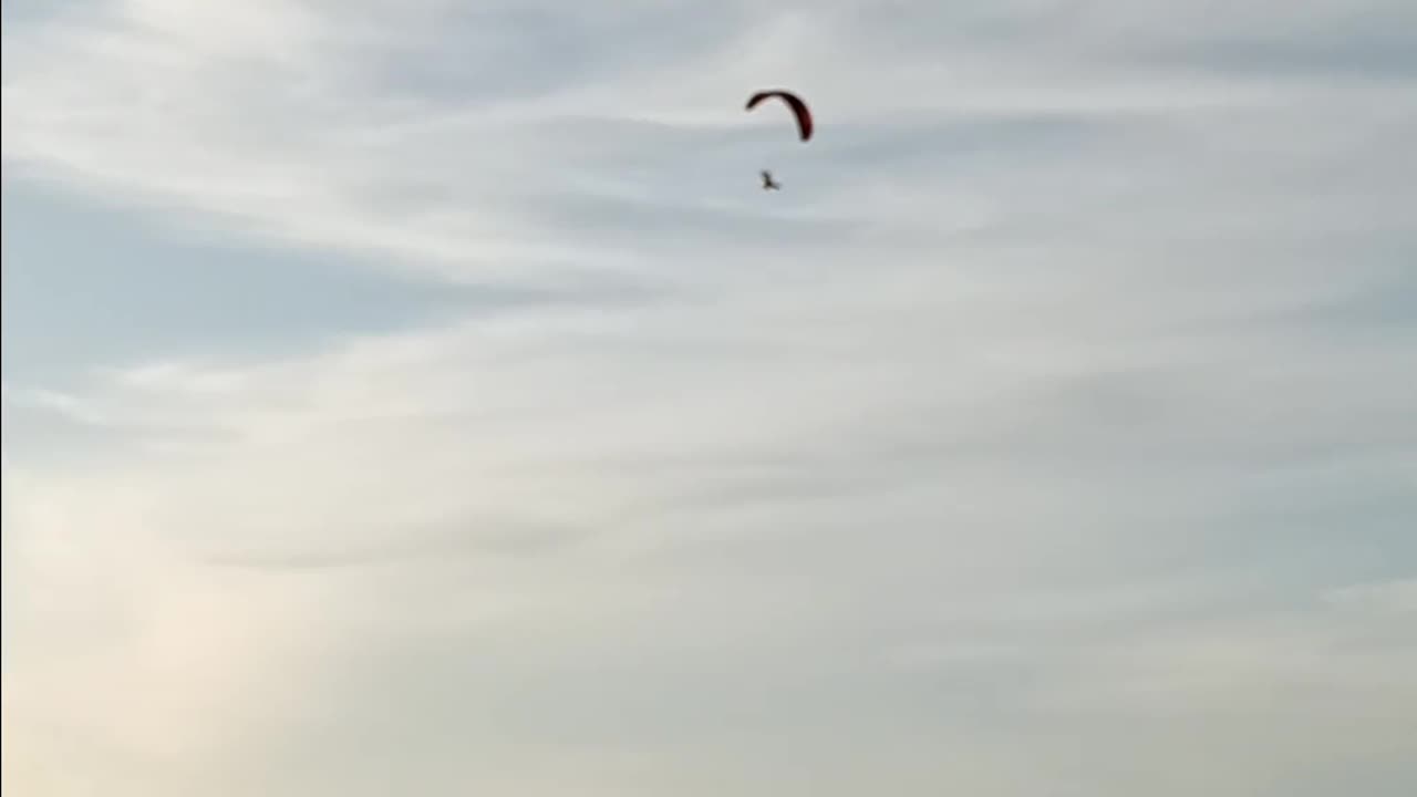 Hang Glider Venice Beach Florida by the doggie beach