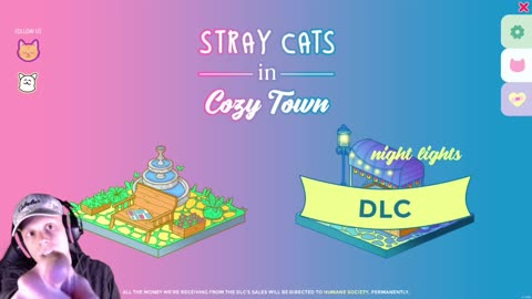 Stray Cats In Cozy Town