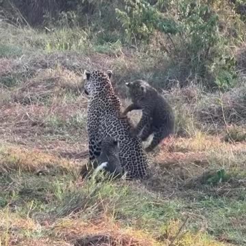 Wow, very patient mom