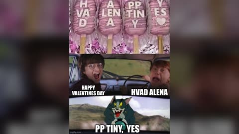 Happy Valentines |Memes Watch Along Party