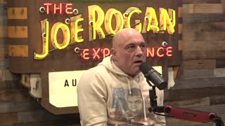 Joe Rogan Experience #2257 - Bryan Callen