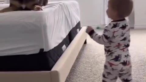 Best friends. Dog playing with baby they have so much fun!