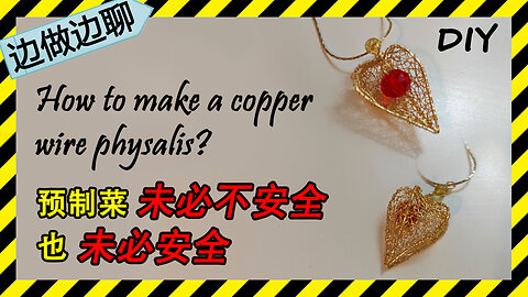 第25期 菇娘果 Issue 25 physalis DIY handmade copper wire pendant 你需要知道的有关预制菜的一些真相