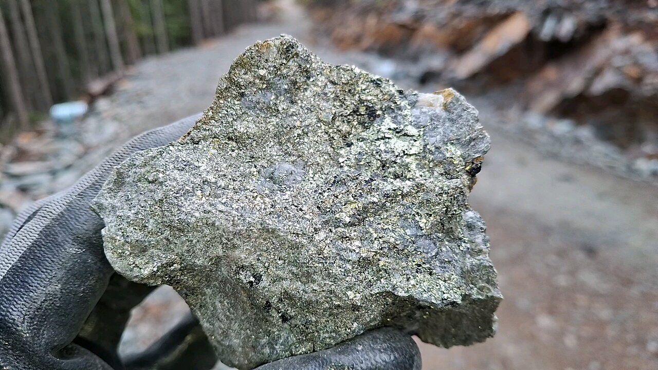 911 SHOWING SAMPLE - MOUNT SICKER