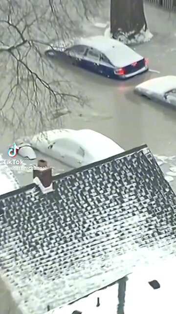 Greta Thunberg and Al Gore farting too much