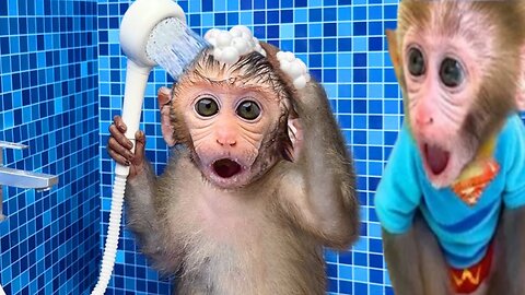 Bonmonkeykiki in shower||Animalht video|| Kiki monkey video in rumble..