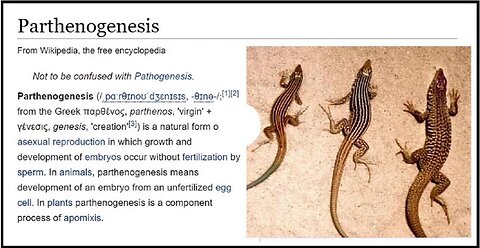 PARTHENOGENESIS MICHELLE 2