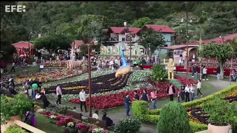 La Feria de las Flores y el Café engalana un poblado en las montañas de Panamá