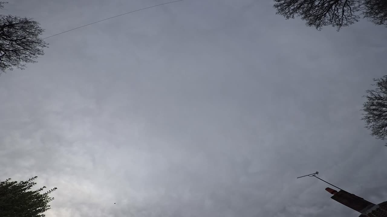 Sky Watch #479 - 13/1/2025