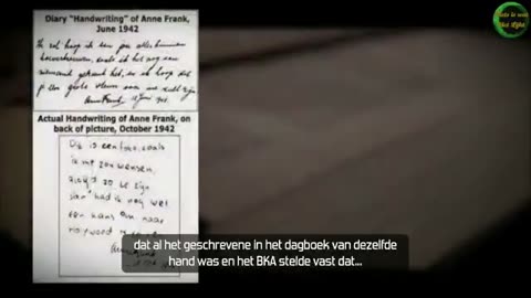 The writer of Anne Franks Diaries was Meyer Levine.