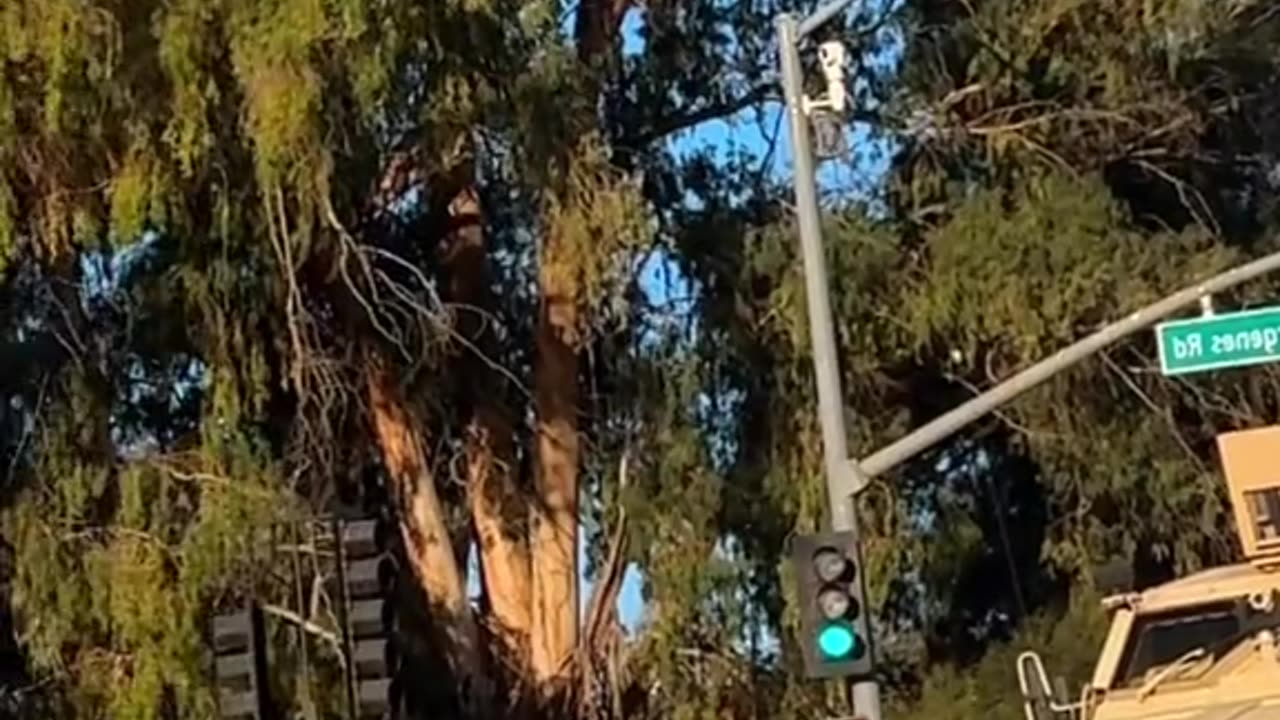 LA military wildfire fire