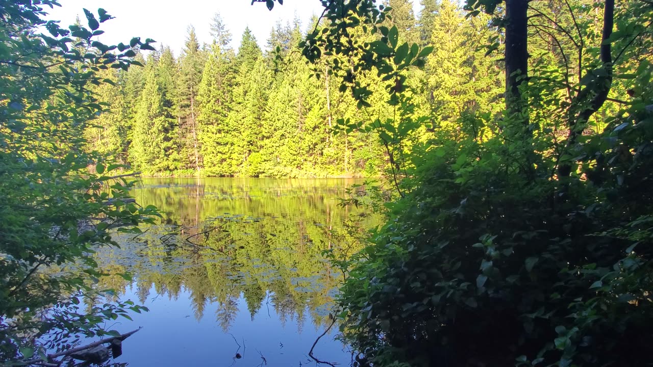 Relaxing At The Lake 📷 Quiet Peaceful