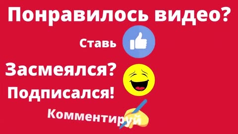Супер кот/Смешное видео про котов