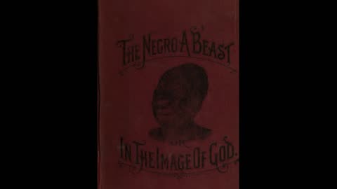 The Negr0 a Beast or in the Imagine of God. Chapter 6 and 7. Second half.