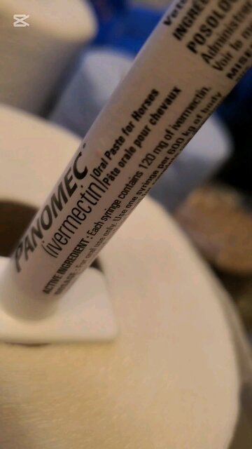 Ivermectin and fenbendazole Day 7