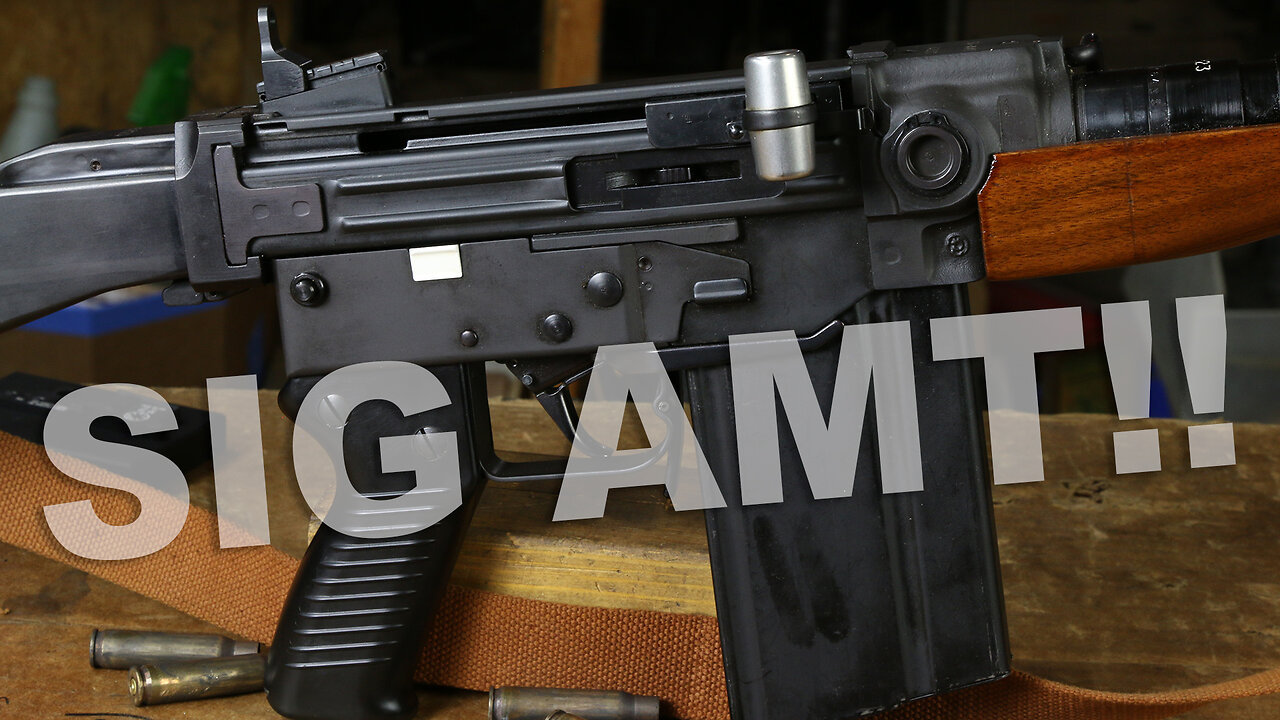 SIG AMT!