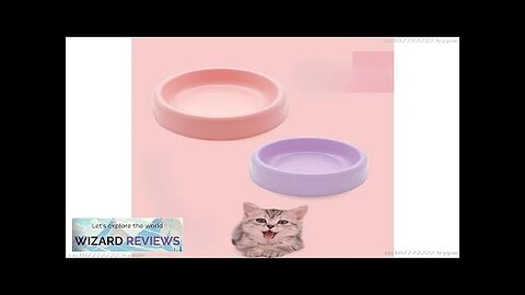 Pet Food Bowl Tilt High Bottom Cat Bowl Neck Protector Dog Feeding Review