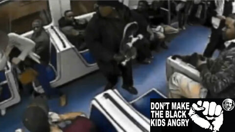 Colin Flaherty: Black Violence On Mass Transit & This Time With a Skateboard