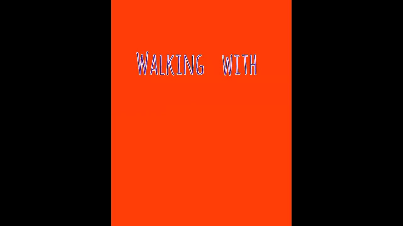 Walking with Bailey