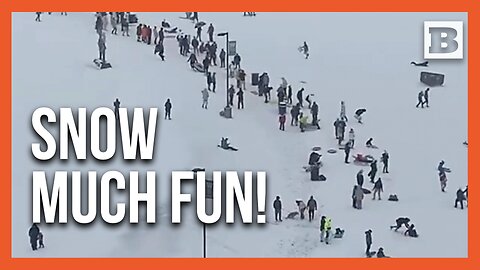 Texans Flood to Houston Park for Sledding Fun Amid Winter Wonderland