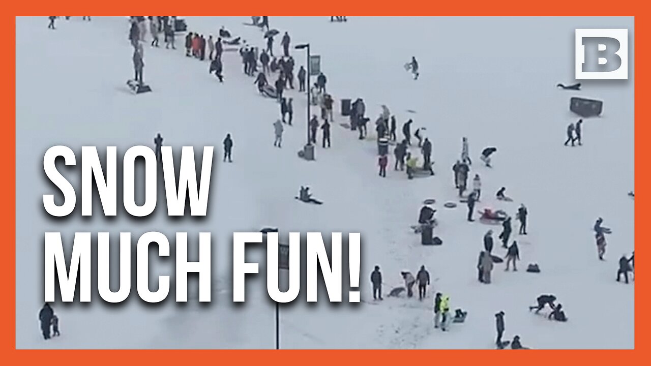 Texans Flood to Houston Park for Sledding Fun Amid Winter Wonderland