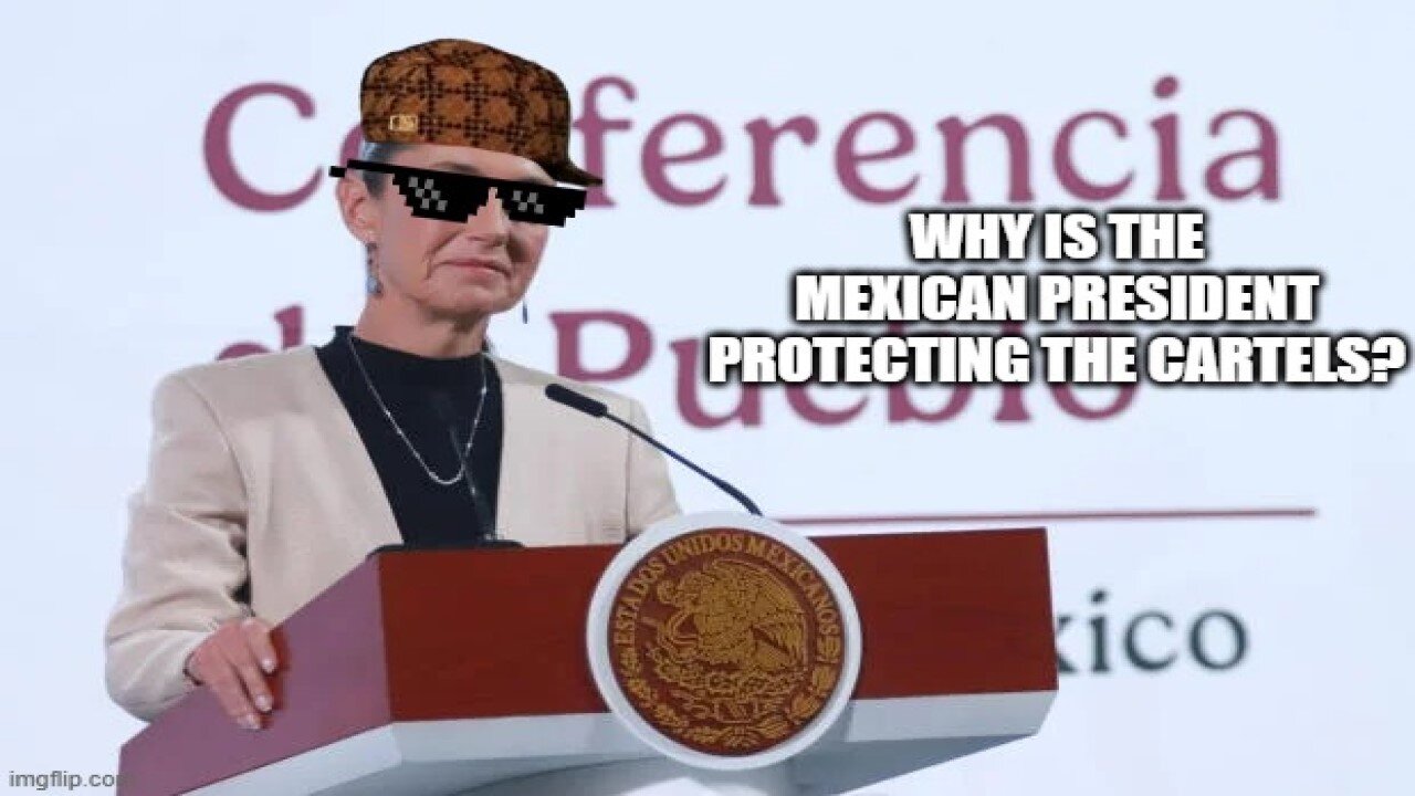 Mexican President is SUING US Gun Manufacturers?!?!?