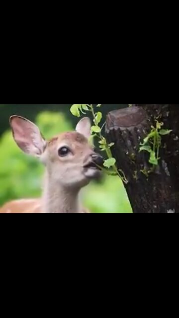 THE DANGER OF IDLE TALK - DAILY DEVOTIONAL ❤️