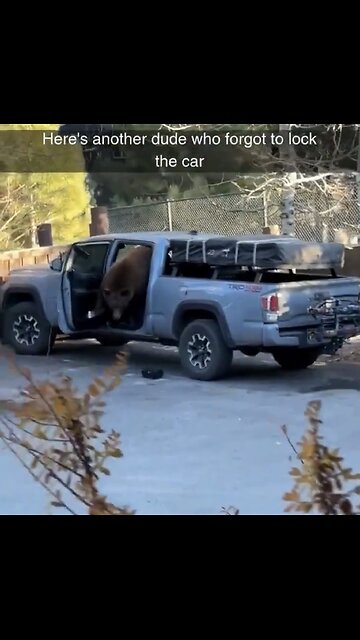 HUGE BEAR BREAK INTO VEHICLE LOOKING FOR FOOD🏡💁‍♂️🚙🐻💫