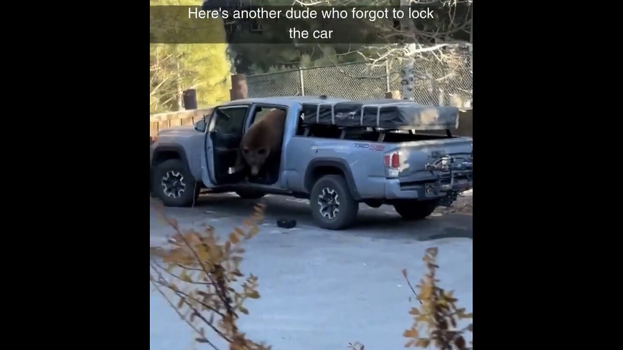 HUGE BEAR BREAK INTO VEHICLE LOOKING FOR FOOD🏡💁‍♂️🚙🐻💫