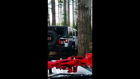 squeezing through snow- melted, rain- flooded enchanted trails