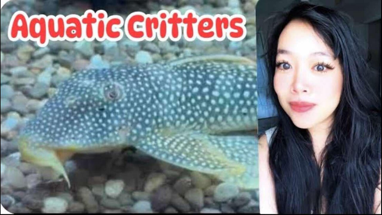 Fun Tuesday with Friend / Aquatic Critters