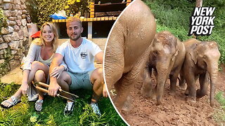 Bathing elephant kills 22-year-old tourist in Thailand