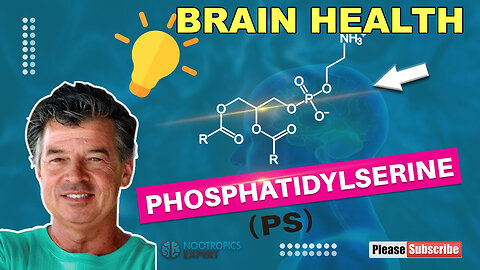 Phosphatidylserine - Brain Health