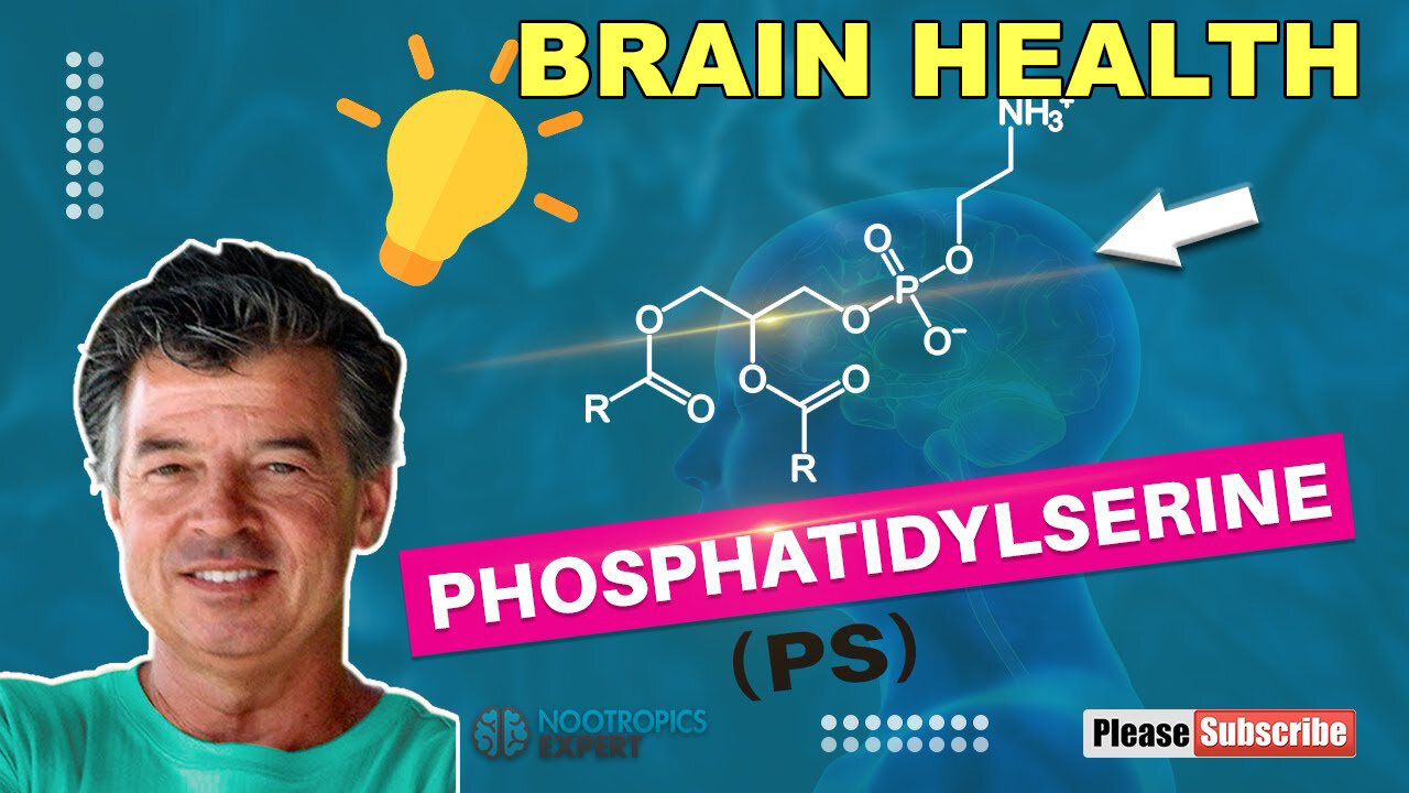 Phosphatidylserine - Brain Health