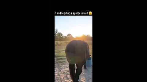 💀💀💀