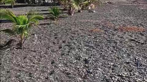 Playa de Cristos, Puerto Rico