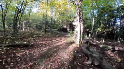 🌳2024🍁 Hiking Through The Greenbelt Trails In Ottawa🍃🍁🌿Canada🥬☀️ Fall Edition ☀️